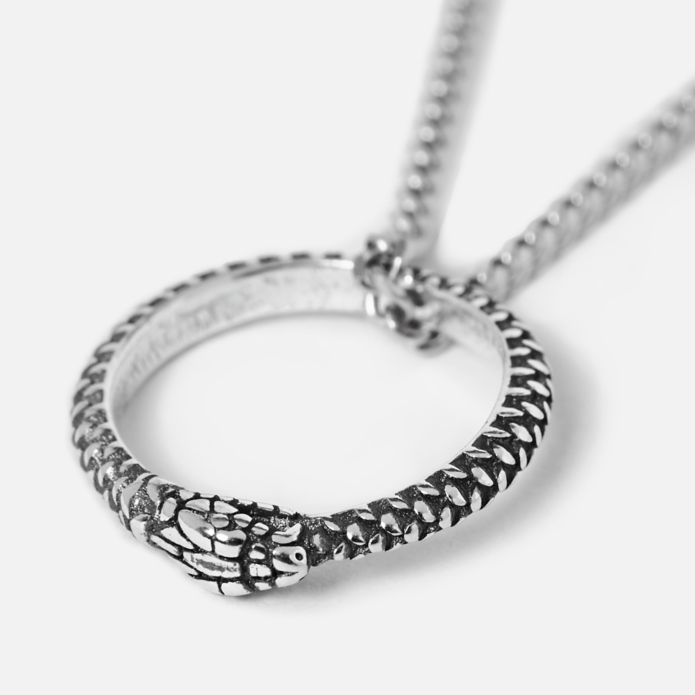 Silver necklace with a unique snake pendant on a white background